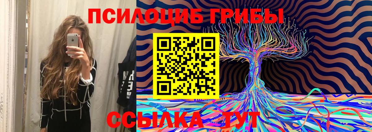 Галлюциногенные грибы ЛСД  Вход с VPN  Псилоцибиновые грибы MAGIC MUSHROOMS  Шарыпово 