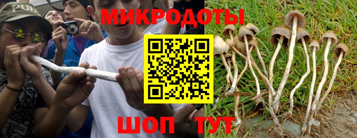 Галлюциногенные грибы Psilocybine cubensis Шарыпово